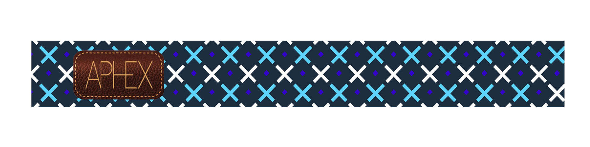 Blue Cross Strap - Ski and Snow Googles