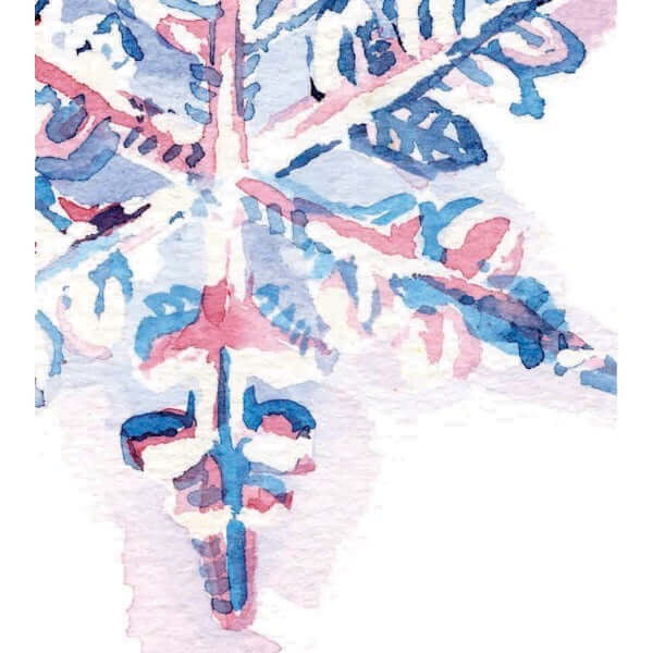 Snowflake Greeting Cards