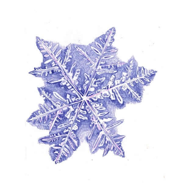 Snowflake Greeting Cards